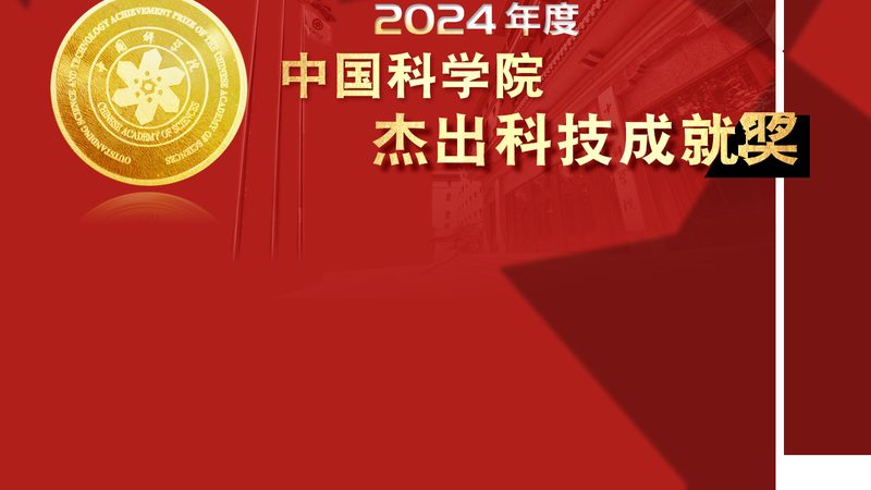 区域医疗信息化平台：构建高效医疗服务的基石